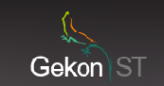 Логотип компании Gekon ST